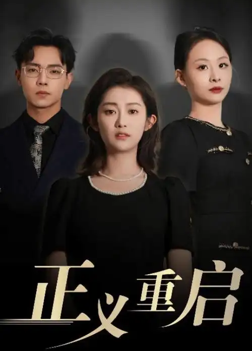 88影院历史剧集山河故人录海报